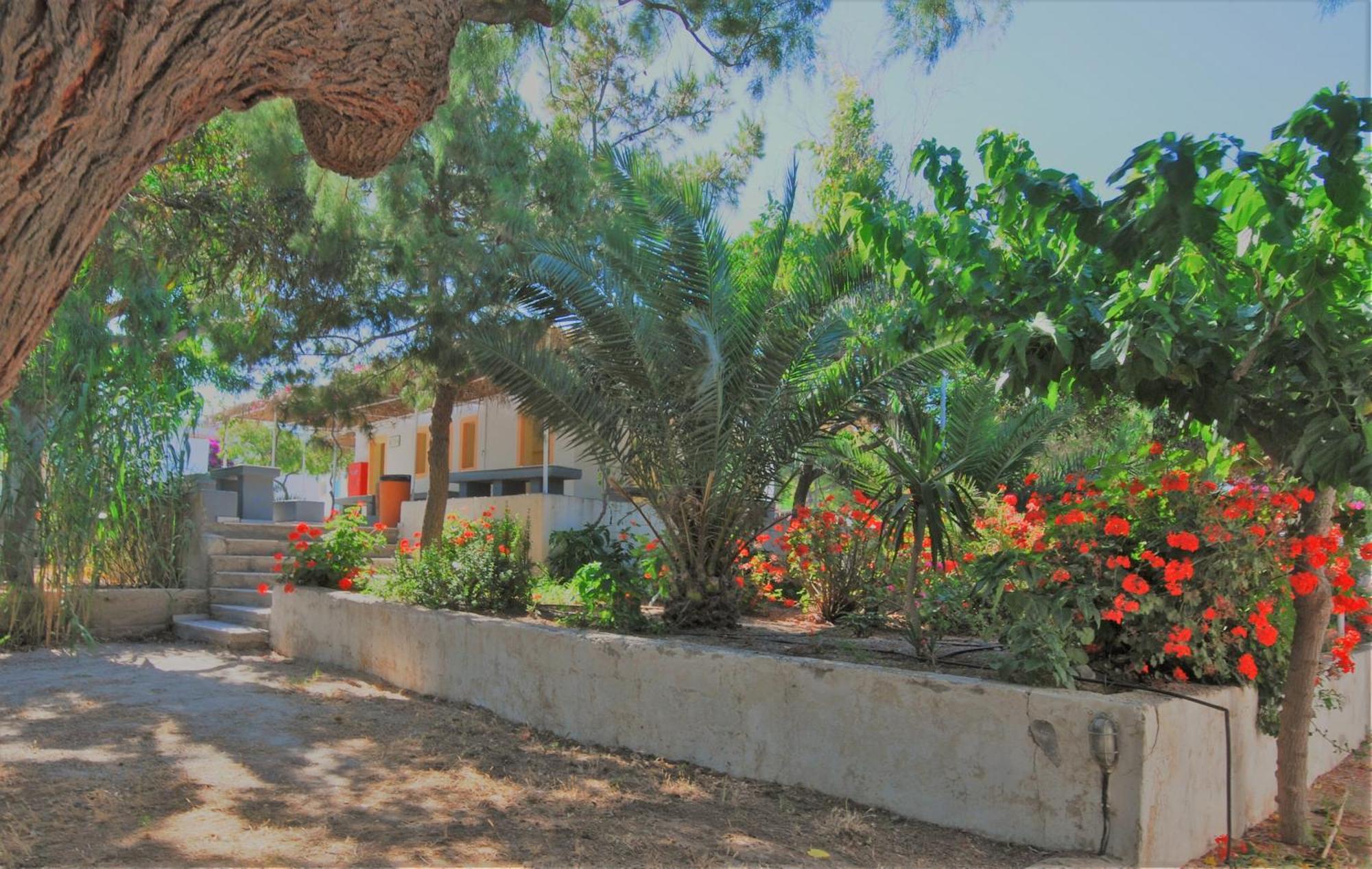 Santorini Camping & Hostel Fira  Exterior photo