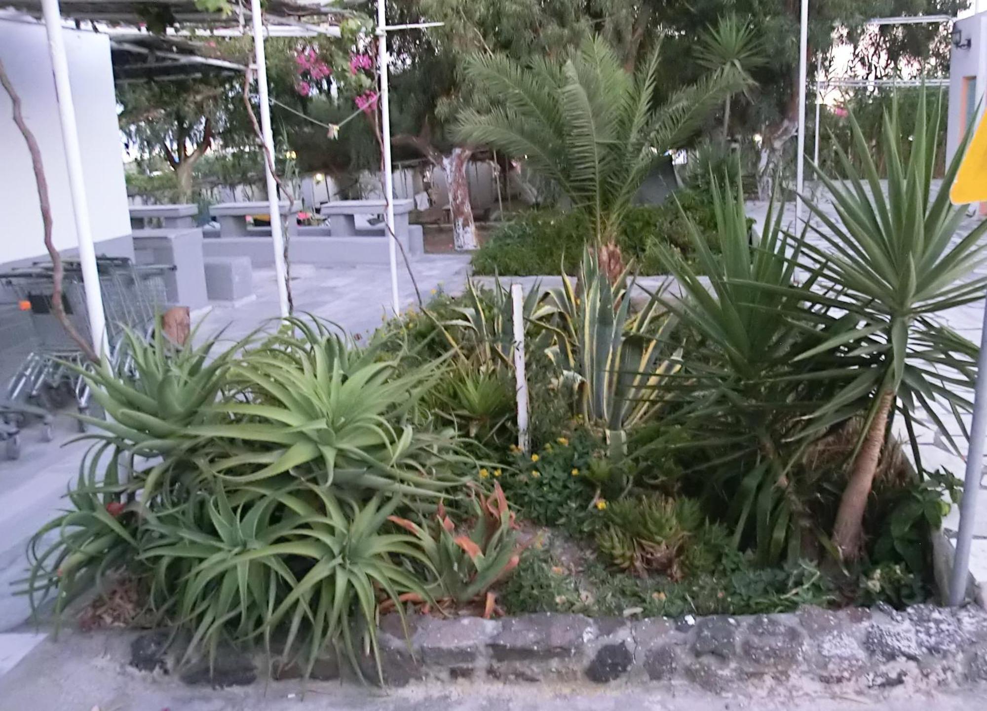 Santorini Camping & Hostel Fira  Exterior photo